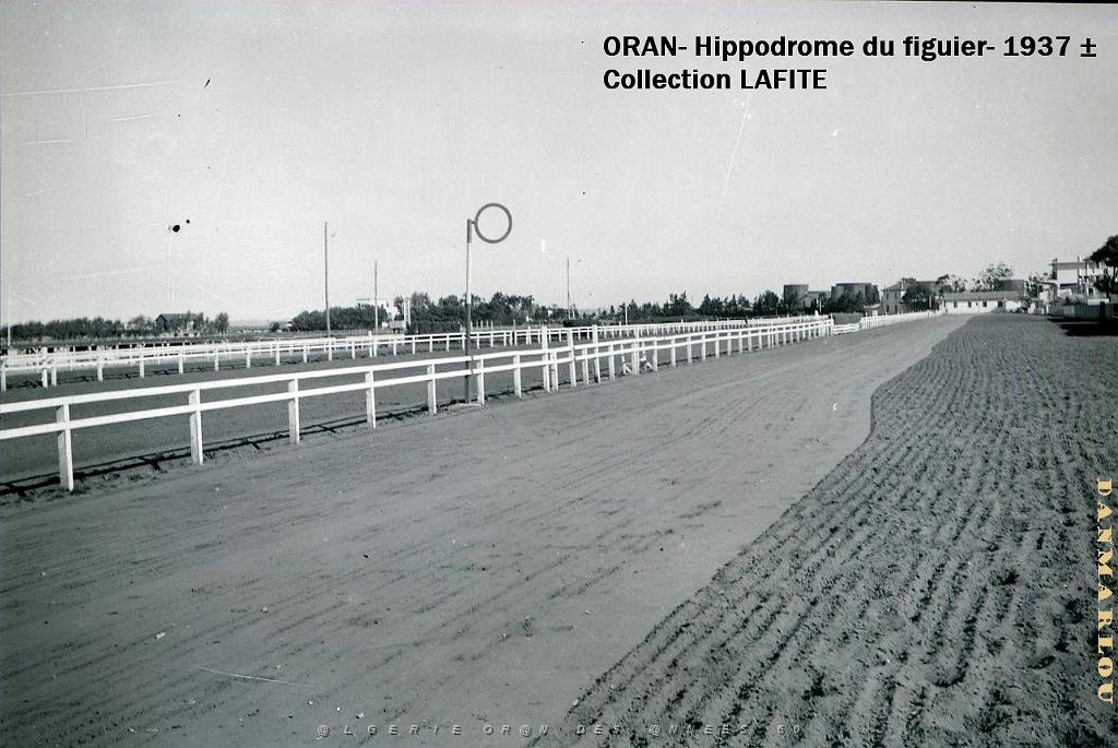 ORAN 1937 HYPPODROME DU FIGIER    (15).jpg